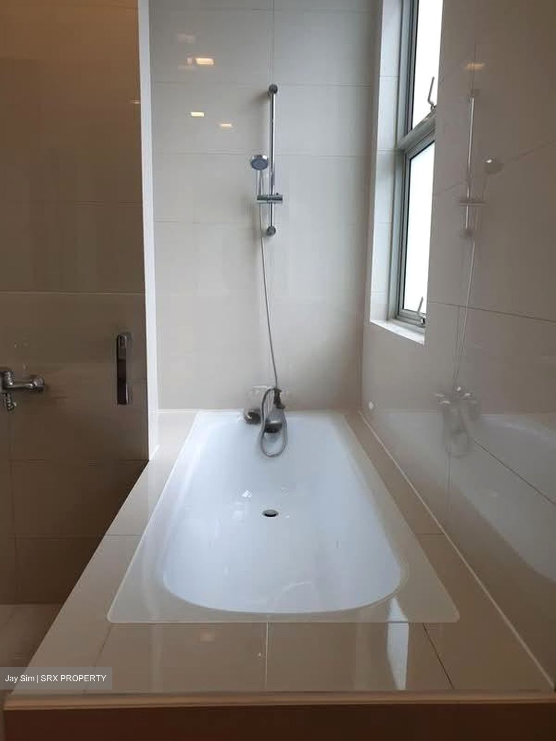 Nassim Regency (D10), Condominium #597101981